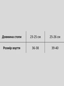 Носки и гольфы Giulia ws2 CRISTAL 077 модель UP-00002893 Фото