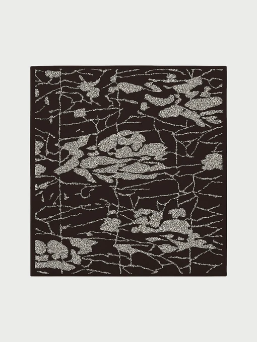 Шарфи та хустки BUDZIKO Silky модель BUD-brown-silky-scarf Фото
