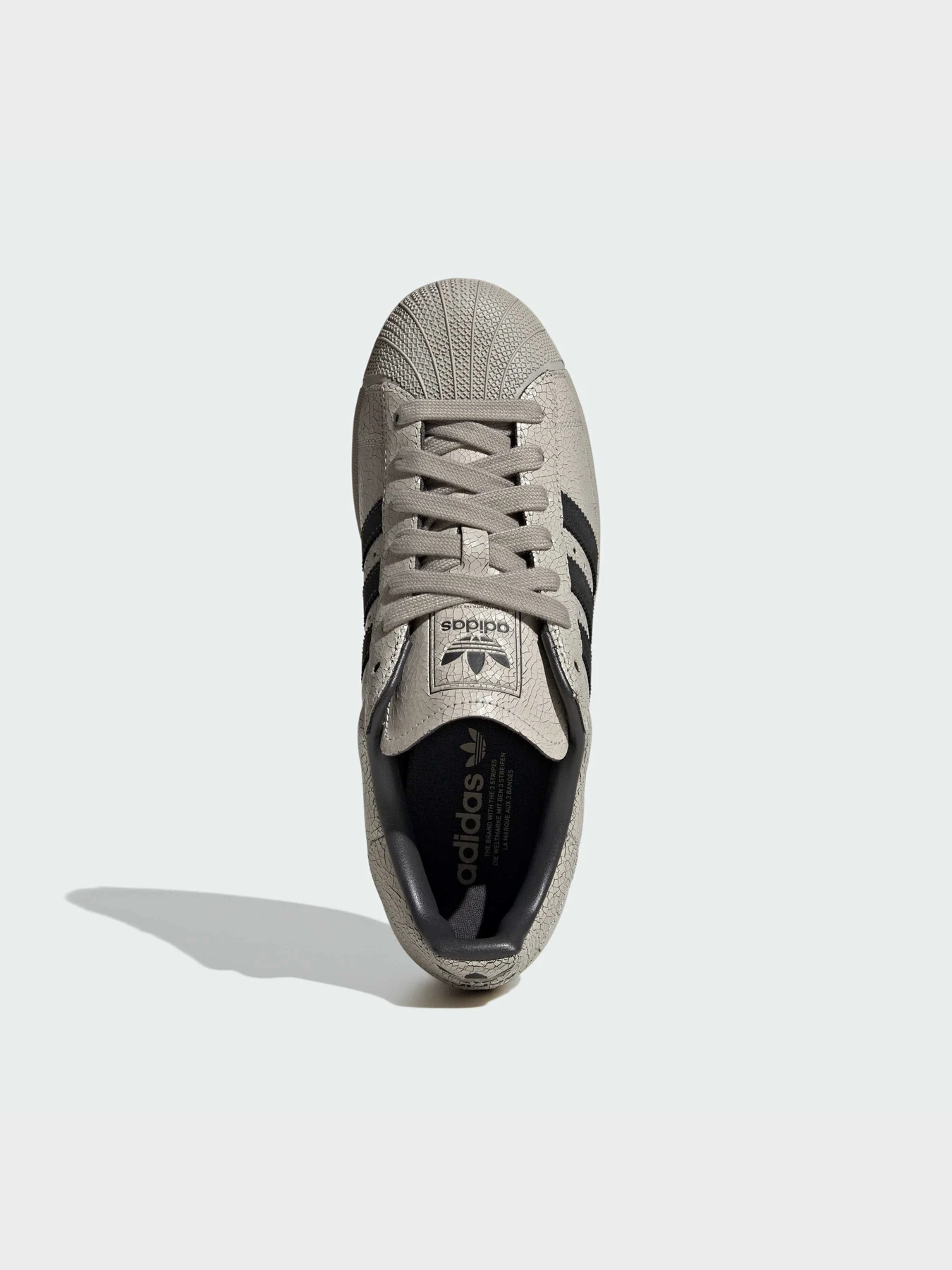 Кеды Adidas Superstar модель KK4746 Фото