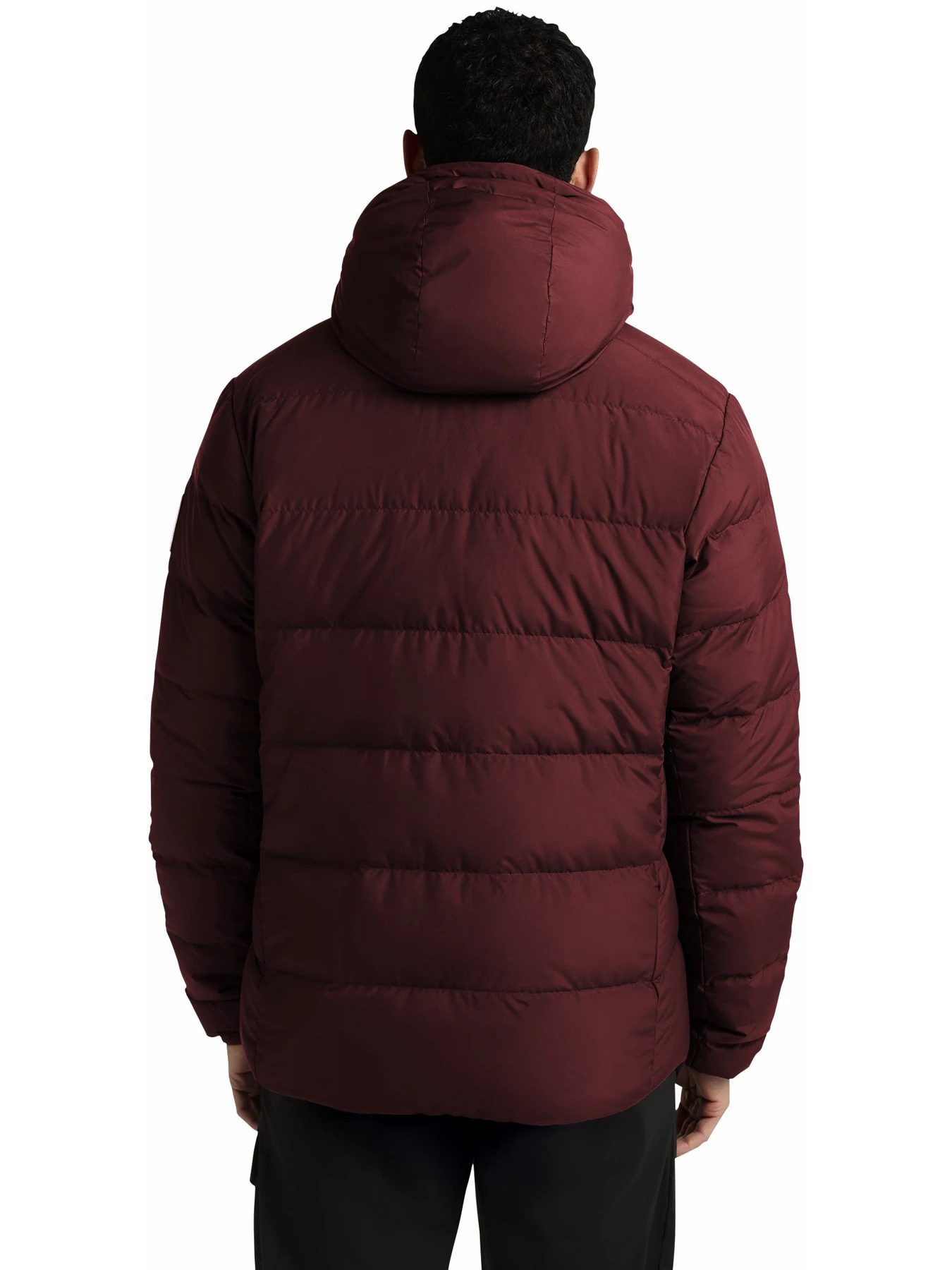 Куртки и дубленки Jack Wolfskin Colonius модель 1207431_J0211 Куртки и дубленки Jack Wolfskin Colonius модель 1207431_J0211 Фото