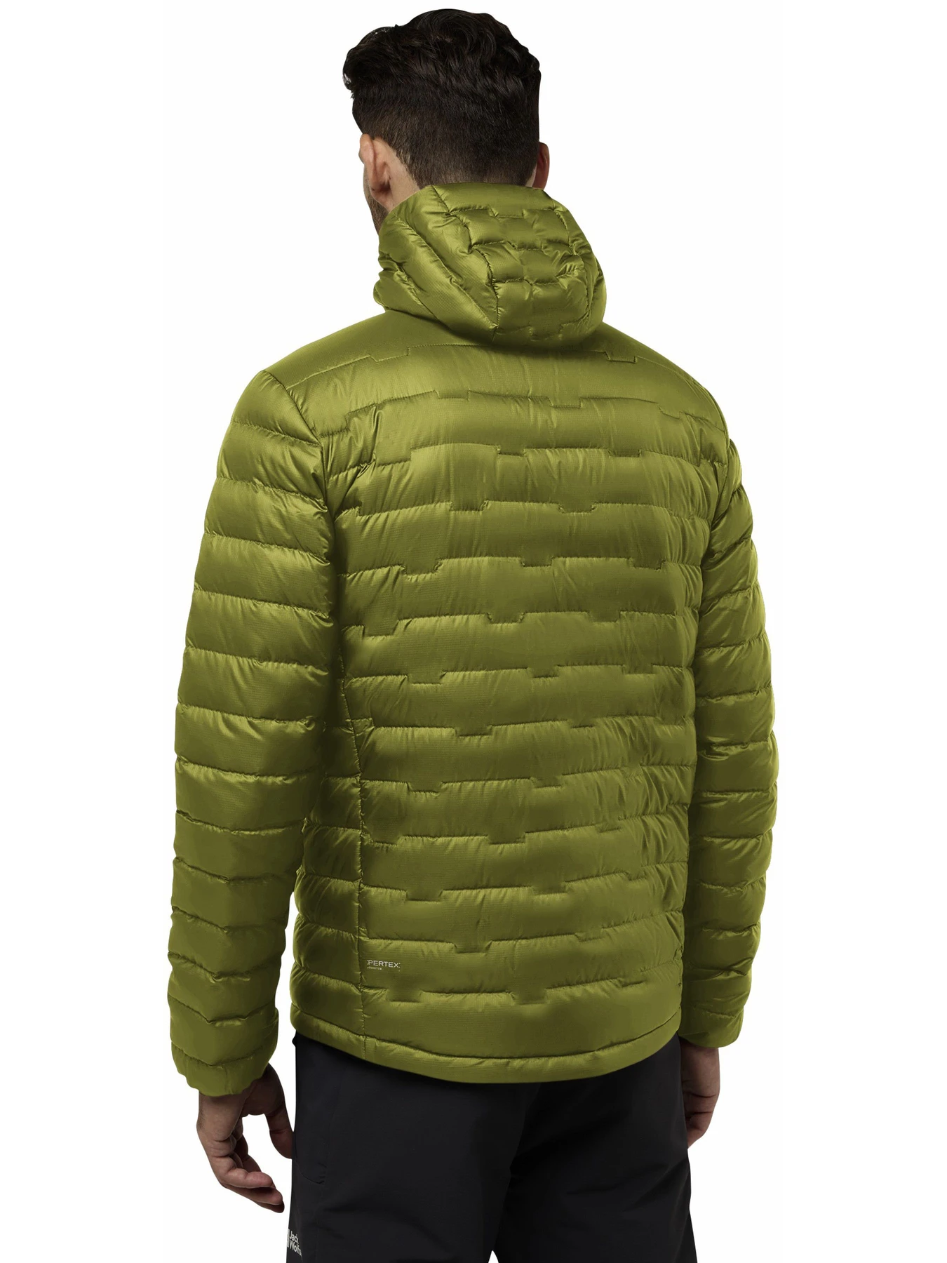 Куртки та дублянки Jack Wolfskin Passamani модель A61831_E0337 Фото