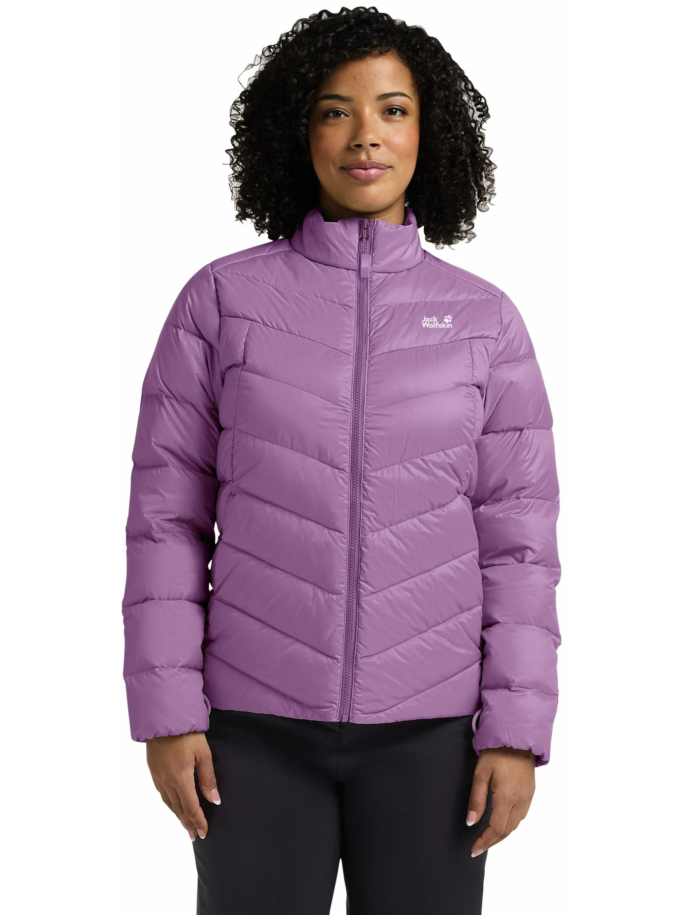 Куртки и дубленки Jack Wolfskin Icecape модель A65266_I0159 Куртки и дубленки Jack Wolfskin Icecape модель A65266_I0159 Фото