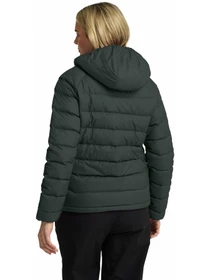 Куртки та дублянки Jack Wolfskin Wild модель A66374_E0271 Фото