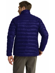 Куртки и дубленки Jack Wolfskin Routeburn модель A66311_C0711 Фото