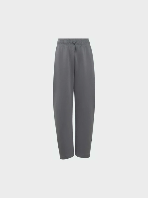 Штани Adidas ZNE модель KY6316 Фото