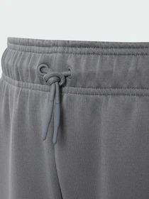 Штани Adidas ZNE модель KY6316 Фото