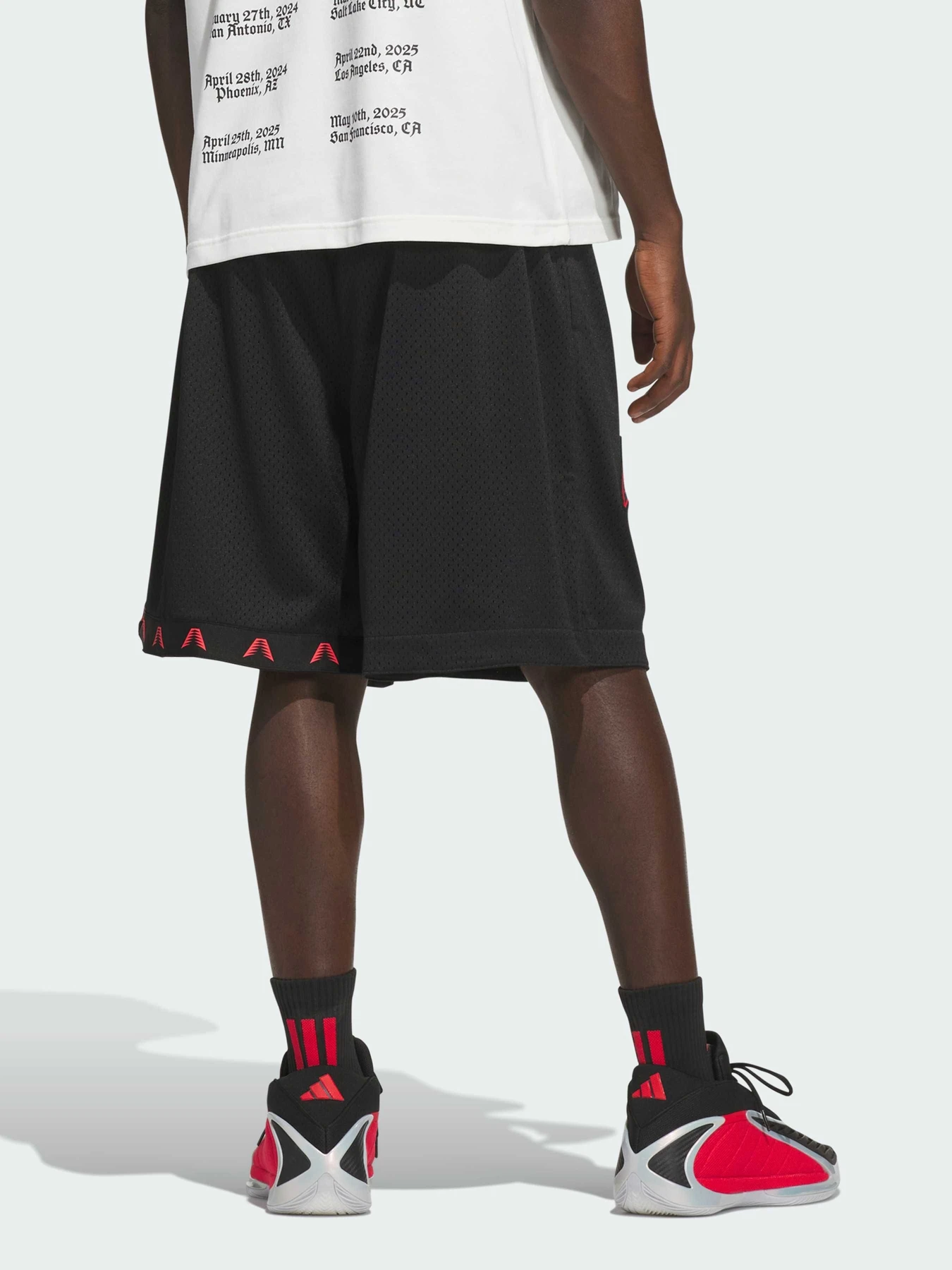 Шорты Adidas модель KG9112 Фото