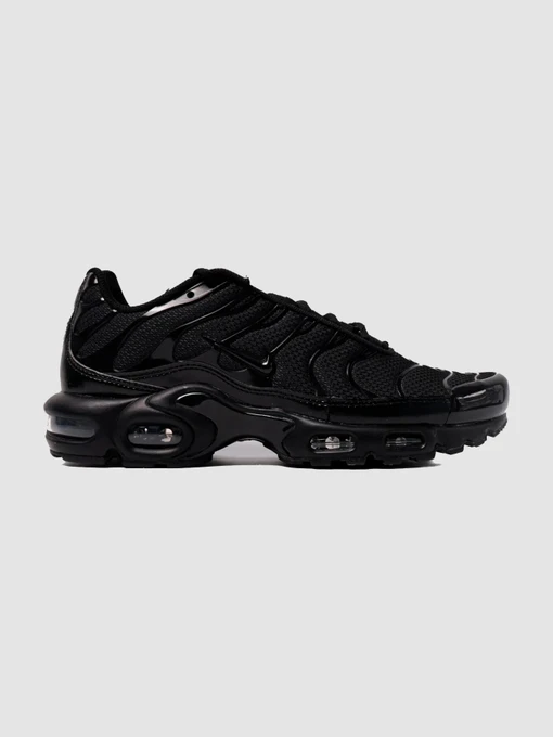 Кроссовки NIKE Air Max Plus Triple модель 604133-050 Фото