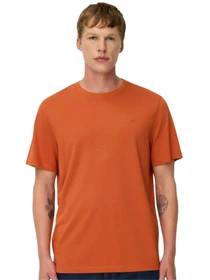 Футболки и поло Camel Active модель 409700-8T07-52 Футболки и поло Camel Active модель 409700-8T07-52 Фото