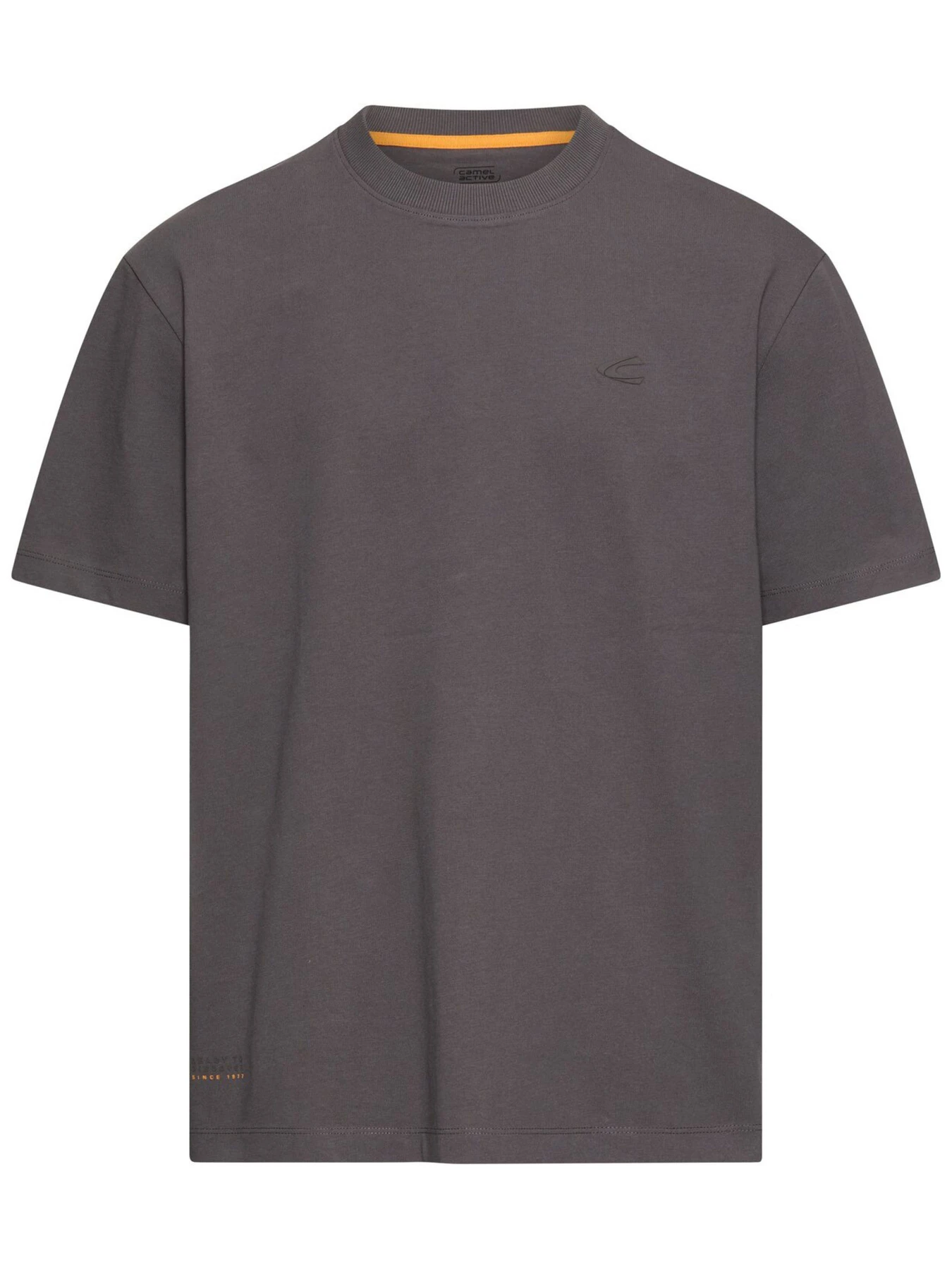 Футболки и поло Camel Active модель 409700-8T31-07 Футболки и поло Camel Active модель 409700-8T31-07 Фото