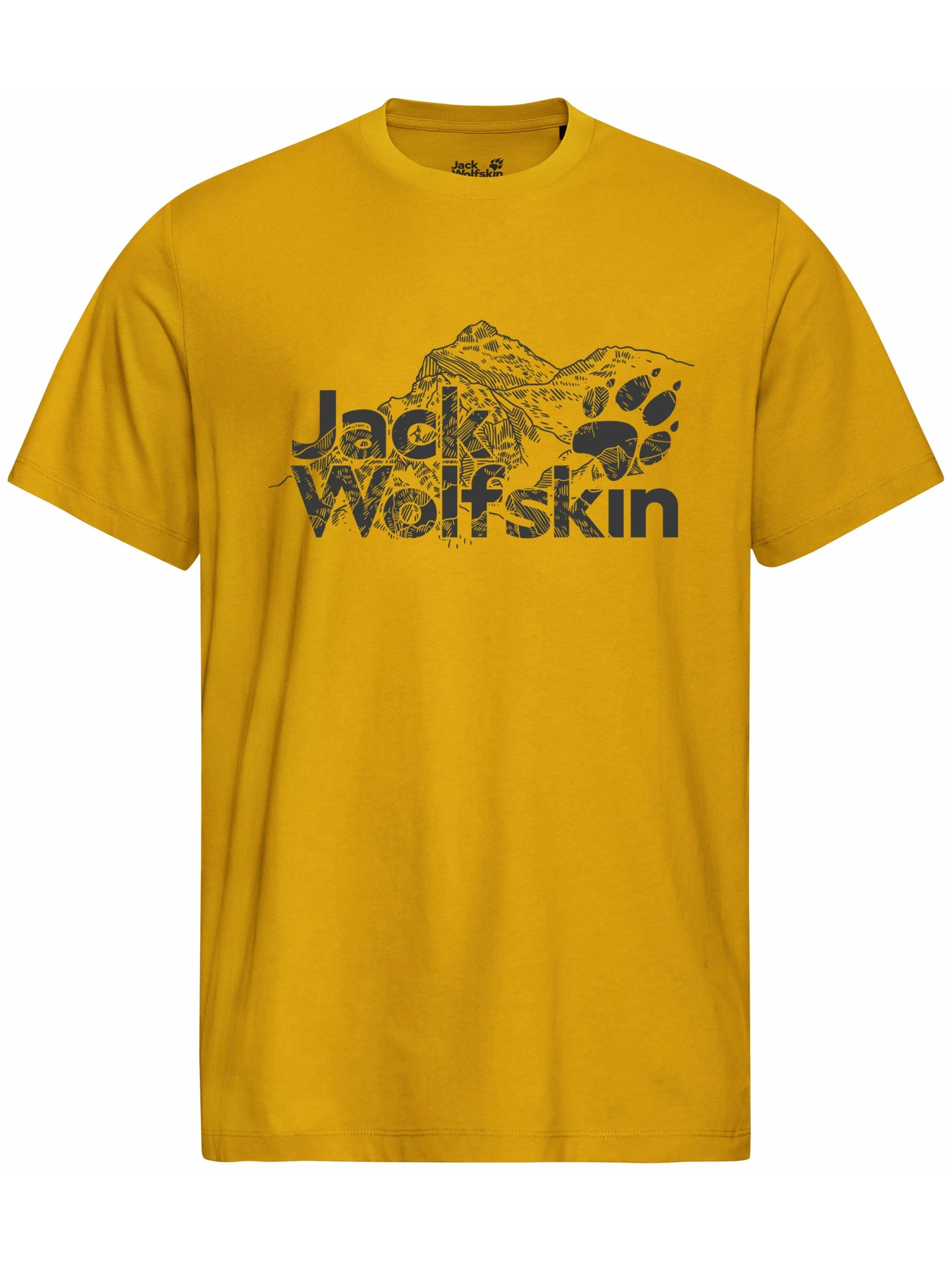 Футболки и поло Jack Wolfskin модель A65910_M0119 Футболки и поло Jack Wolfskin модель A65910_M0119 Фото