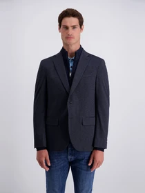 Пиджаки Pierre Cardin модель PC-C4 41112.1515-90.6225 Фото