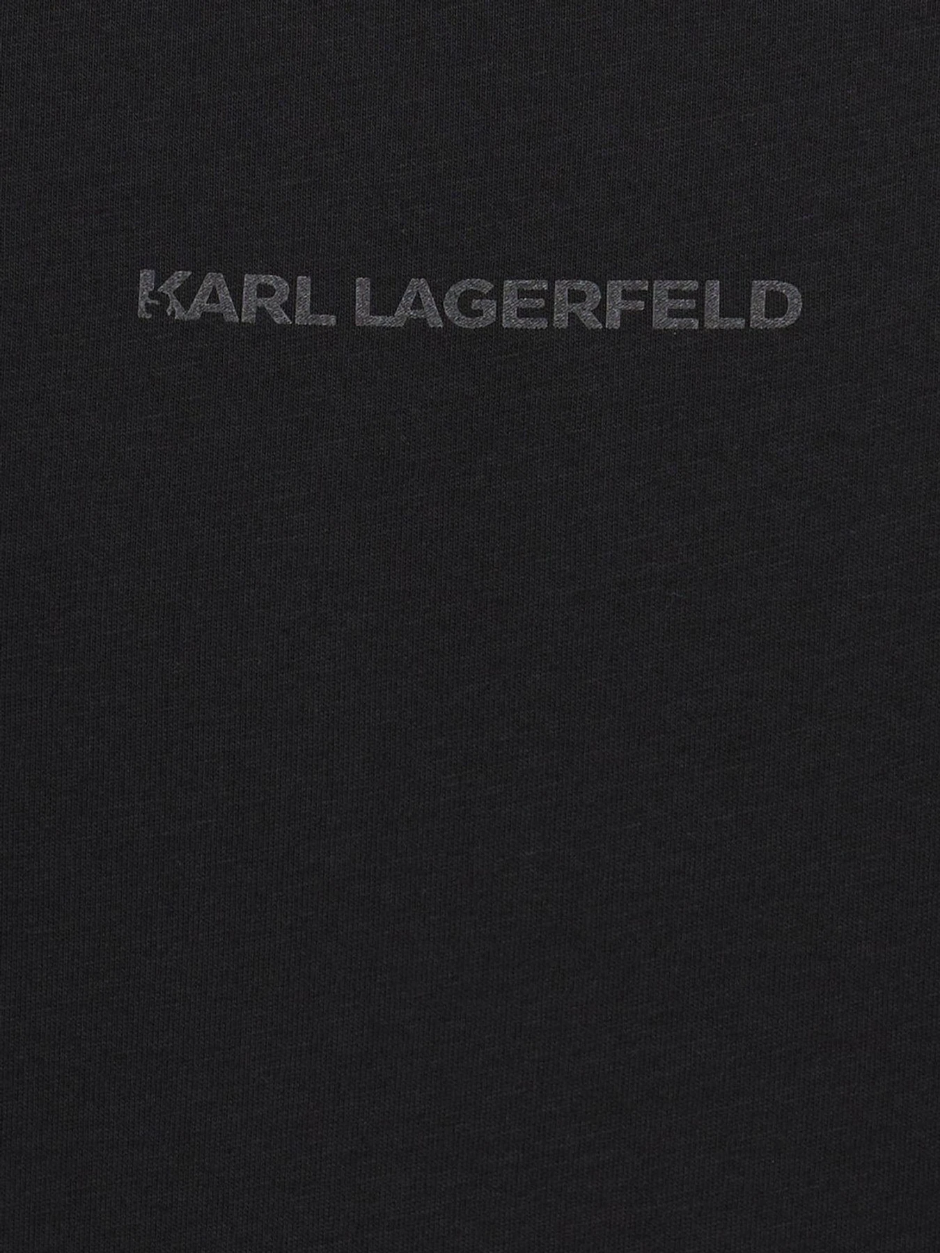 Футболки и поло Karl Lagerfeld модель 564226.755146;990 Футболки и поло Karl Lagerfeld модель 564226.755146;990 Фото