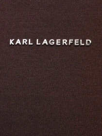 Худи и свитшоты Karl Lagerfeld модель 564902.705000;490 Фото