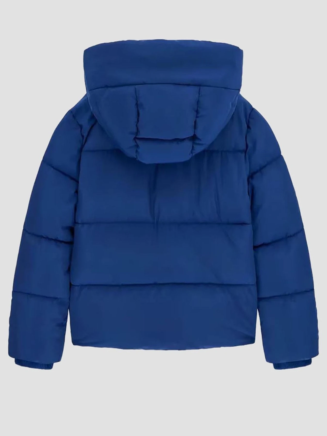 Куртки и дубленки GUESS Kids модель L6BL01.W3942;G7T2 Фото
