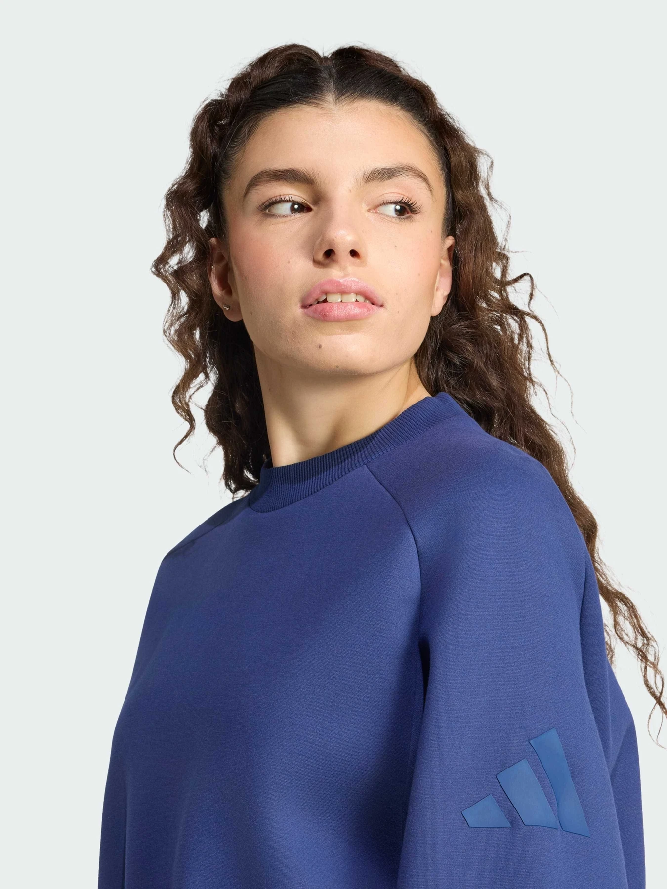 Худи и свитшоты Adidas модель KS7914 Фото