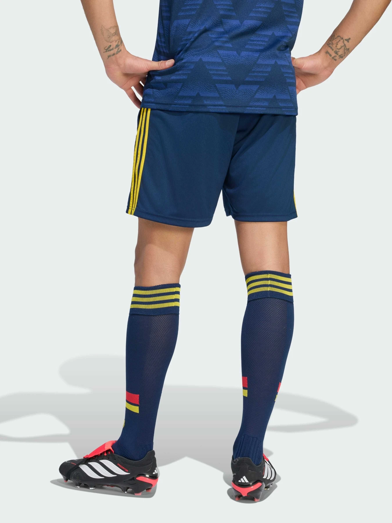 Шорты Adidas модель JZ3162 Шорты Adidas модель JZ3162 Фото