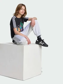 Футболки і поло Adidas Graphics модель KS7108 Фото
