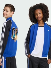 Худи и свитшоты Adidas Graphics модель KS7116 Фото