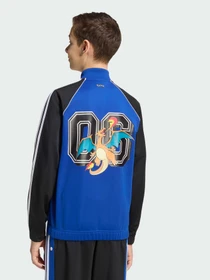 Худи и свитшоты Adidas Graphics модель KS7116 Фото