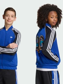 Худи и свитшоты Adidas Graphics модель KS7116 Фото