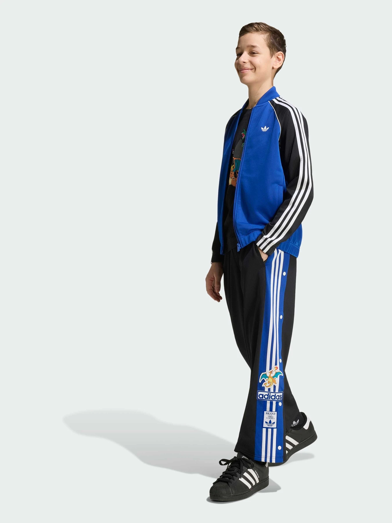 Брюки Adidas Graphics модель KS7117 Фото