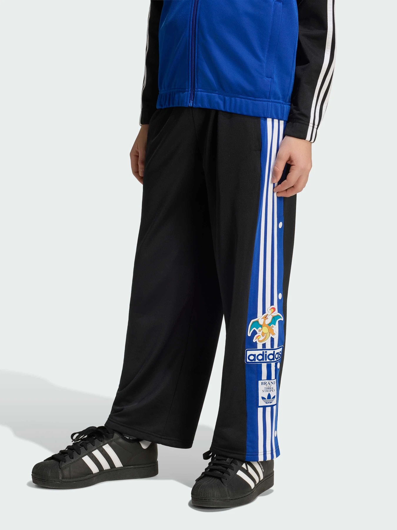 Брюки Adidas Graphics модель KS7117 Фото