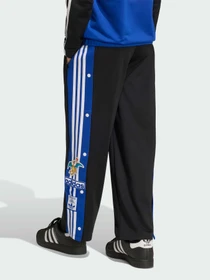 Брюки Adidas Graphics модель KS7117 Фото