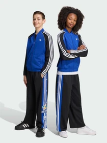 Брюки Adidas Graphics модель KS7117 Фото