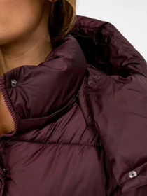 Куртки и дубленки Eva classic модель 2681 Фото