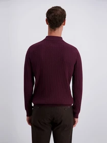 Футболки и поло Pierre Cardin модель PC-C5 52174.5163.4313 Фото