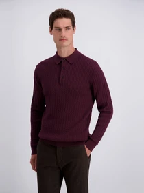 Футболки и поло Pierre Cardin модель PC-C5 52174.5163.4313 Фото
