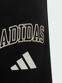 Штани Adidas модель KS5126 Фото