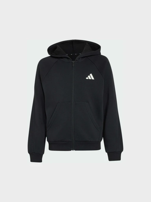 Худи и свитшоты Adidas модель KS5138 Фото