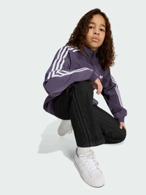 Брюки Adidas Graphics модель KS7111 Фото