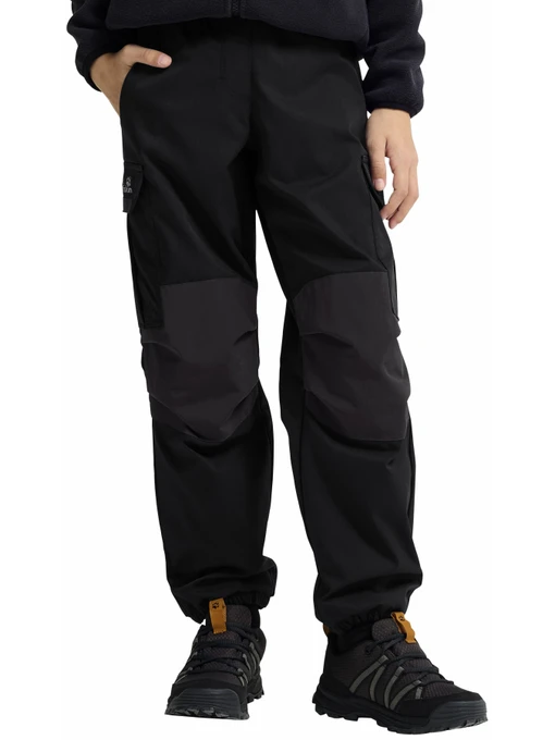 Брюки Jack Wolfskin модель A66172_6000 Фото