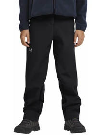 Брюки Jack Wolfskin модель A66681_6000 Фото