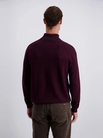 Светри та кардигани Pierre Cardin модель PC-C5 52243.5176.4313 Фото