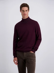 Светри та кардигани Pierre Cardin модель PC-C5 52243.5176.4313 Фото