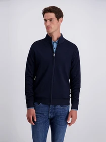 Свитеры и кардиганы Pierre Cardin модель PC-C5 52249.5176.6325 Фото