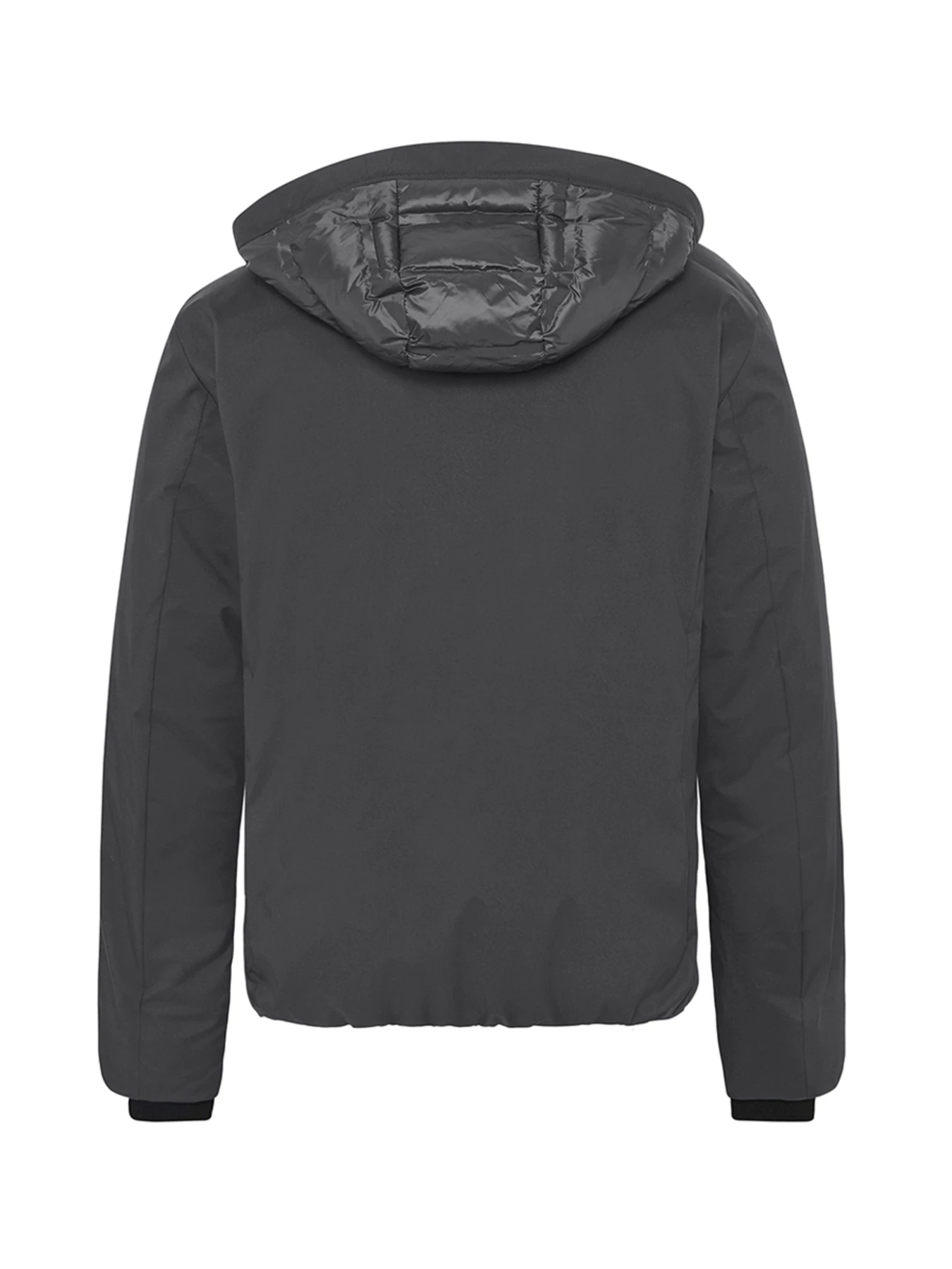 Куртки и дубленки Pierre Cardin модель PC-C8 10264.0148.9314 Куртки и дубленки Pierre Cardin модель PC-C8 10264.0148.9314 Фото