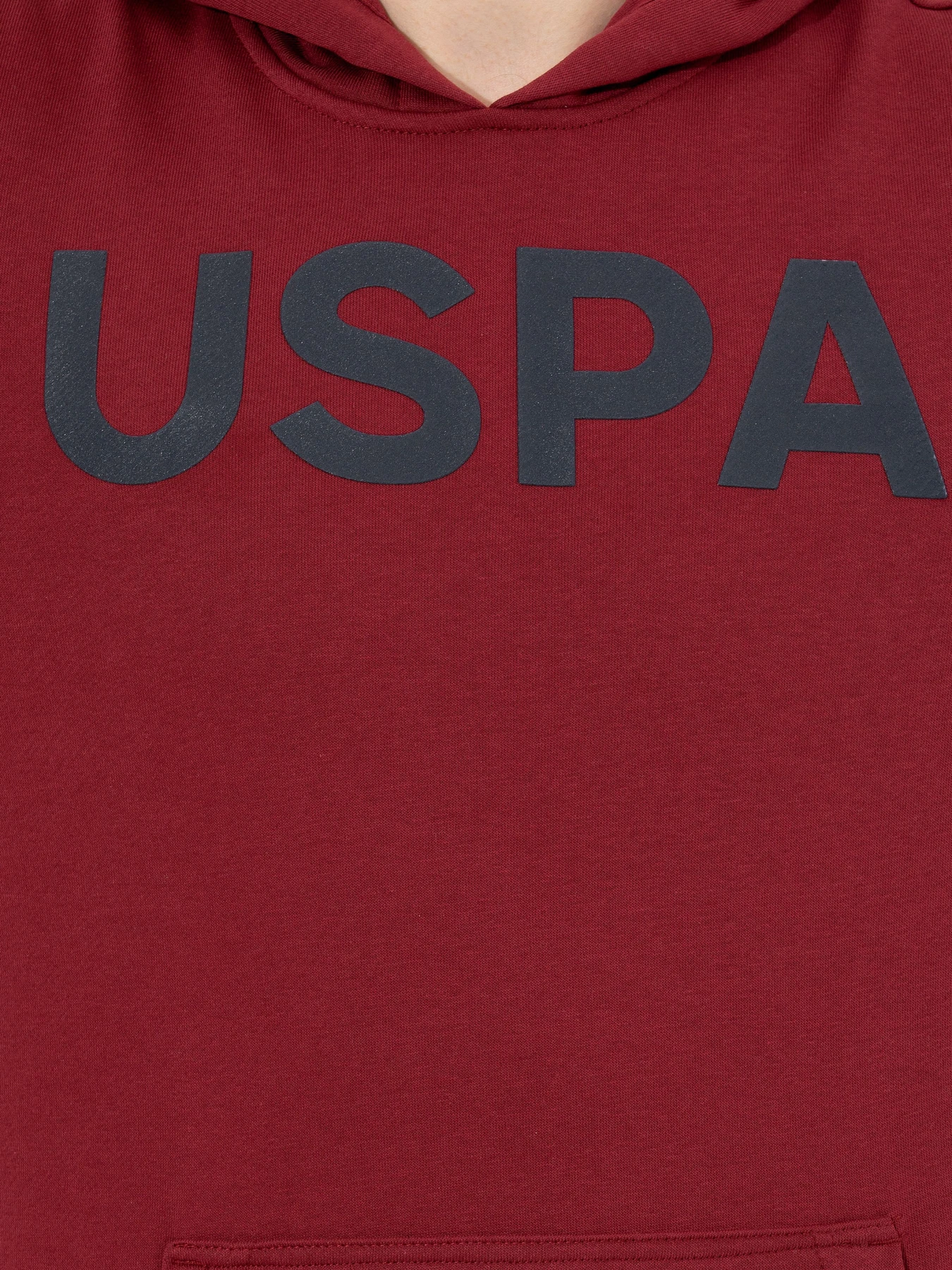 Худи и свитшоты US Polo модель 1454275-C161 Худи и свитшоты US Polo модель 1454275-C161 Фото