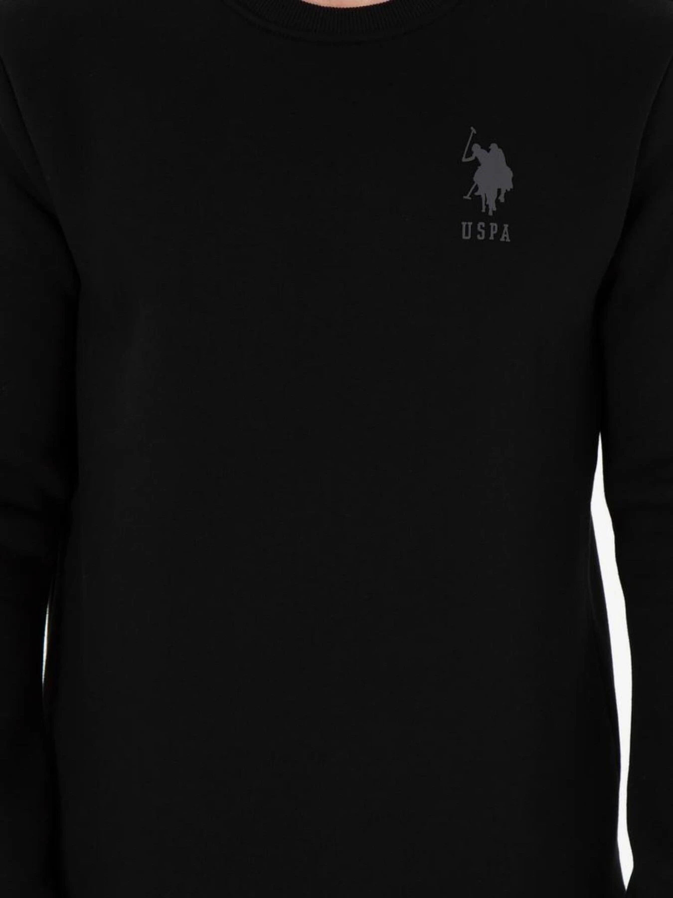 Худі та світшоти US Polo модель 1963478-C13 Фото