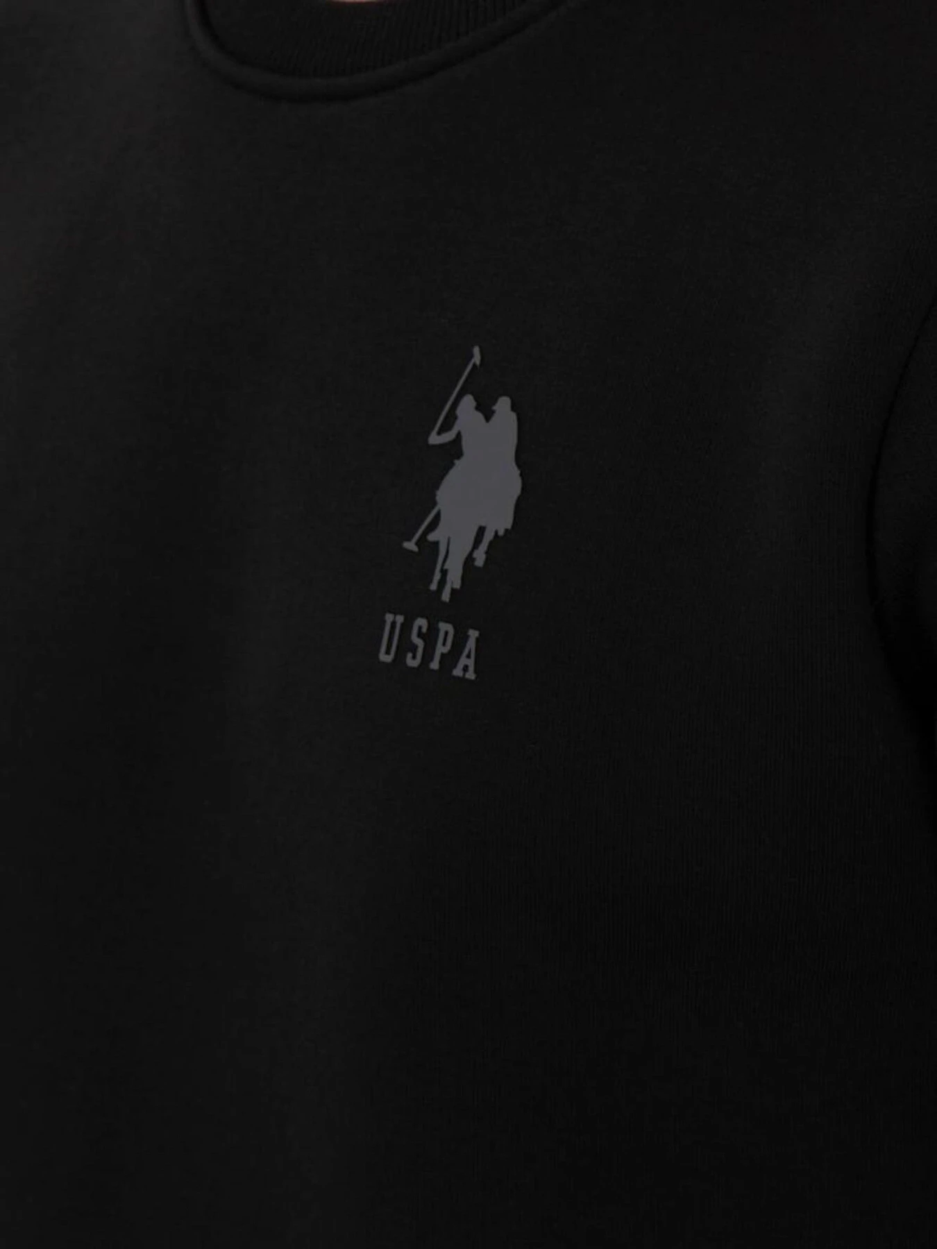 Худі та світшоти US Polo модель 1963478-C13 Фото