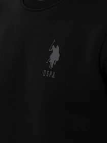 Худі та світшоти US Polo модель 1963478-C13 Фото