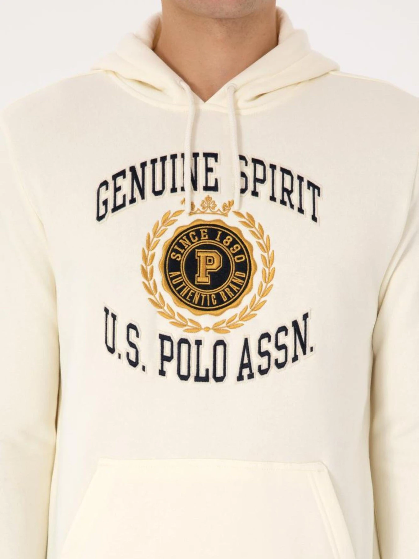 Худі та світшоти US Polo модель 2239830-C76 Худі та світшоти US Polo модель 2239830-C76 Фото
