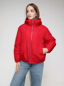 Куртки и дубленки Eva classic модель 2645 Фото