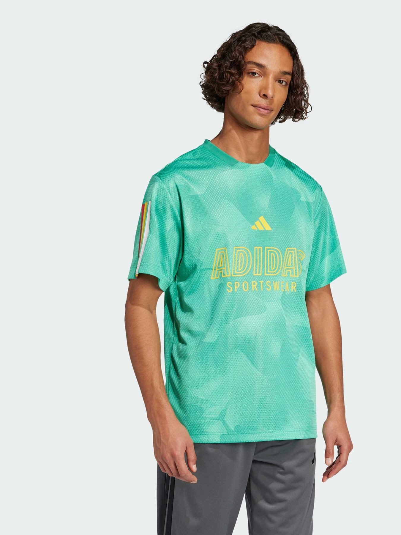 Футболки и поло Adidas Tiro модель JC8003 Футболки и поло Adidas Tiro модель JC8003 Фото