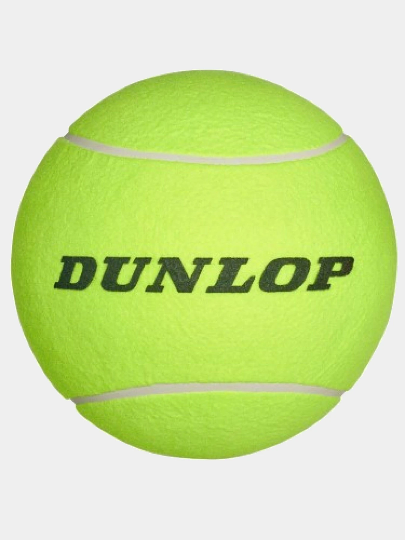 Ракетки та м’ячі  Dunlop модель 305881 Фото