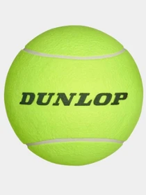Ракетки та м’ячі  Dunlop модель 305881 Фото